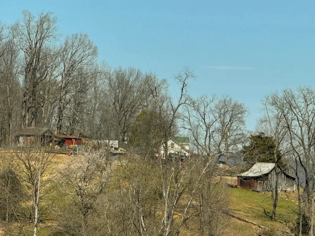 Appalachian Ridgelines and Hollers — Living Inside the Landscape - Autumn Laurel