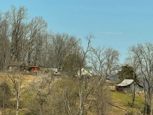 Appalachian Ridgelines and Hollers — Living Inside the Landscape - Autumn Laurel