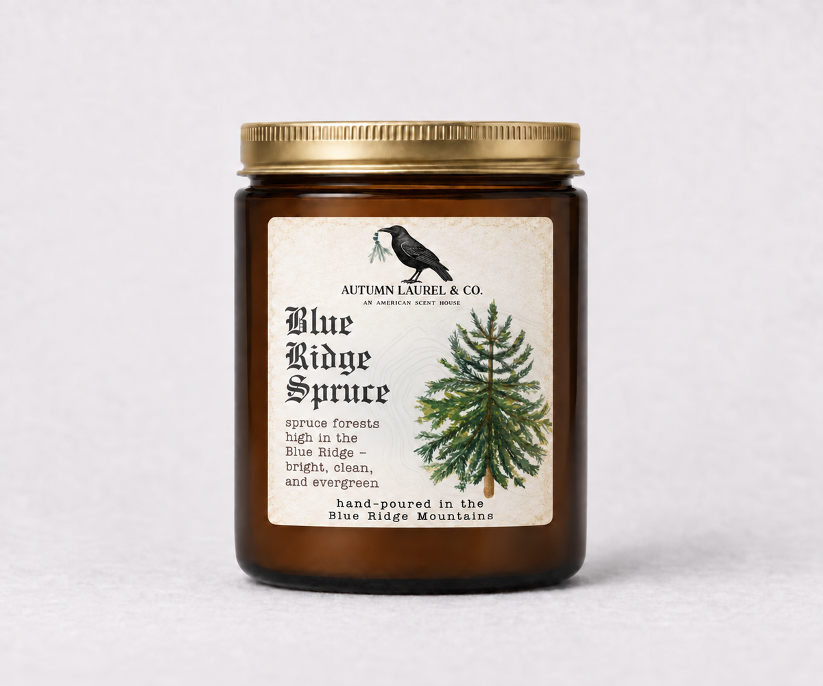 Blue Ridge Spruce amber jar candle with updated Old English Christmas label