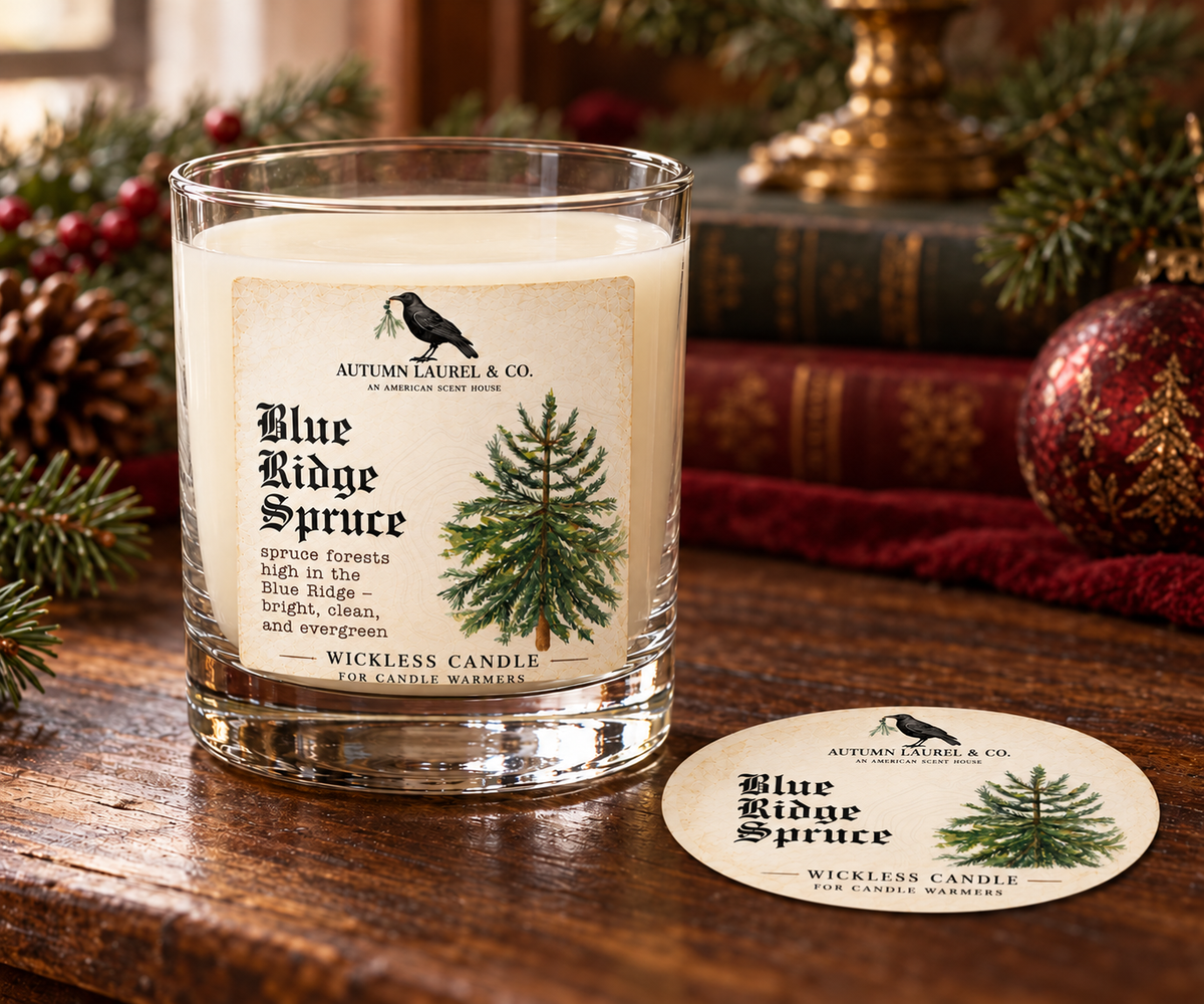 Blue Ridge Spruce wickless candle in clear Libbey rocks glass with matching paper dust cover