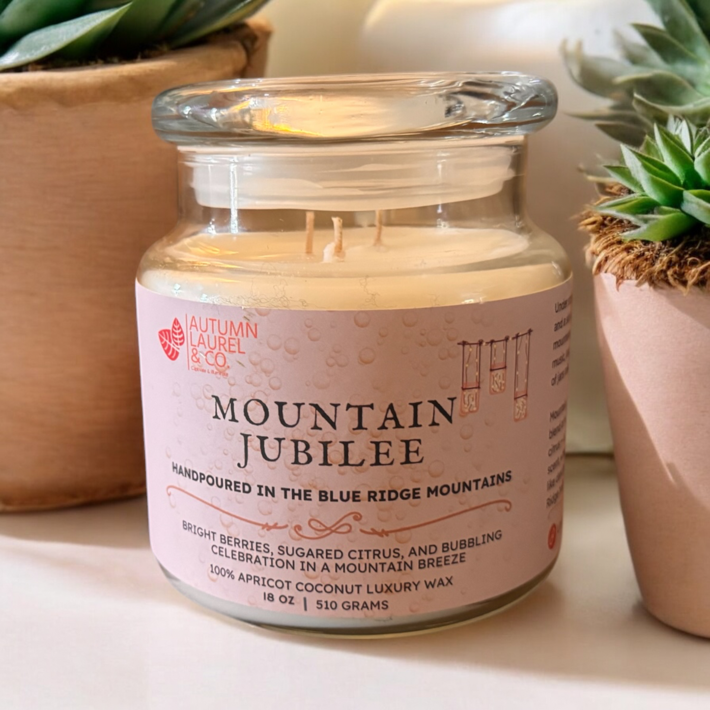 Mountain Jubilee scented 18 oz apothecary glass jar candle sitting on a shelf between a couple of plants. 
