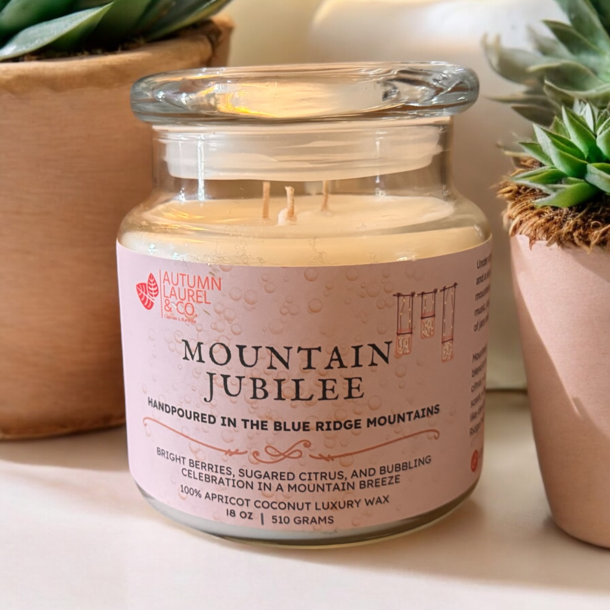 Mountain Jubilee scented 18 oz apothecary glass jar candle sitting on a shelf between a couple of plants. 