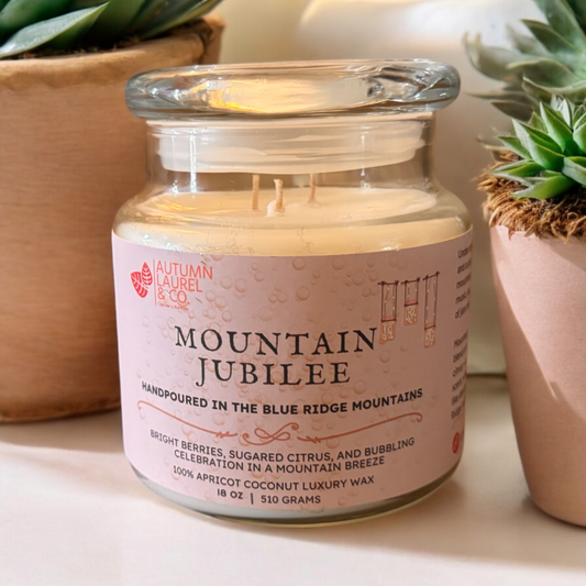 Mountain Jubilee scented 18 oz apothecary glass jar candle sitting on a shelf between a couple of plants. 